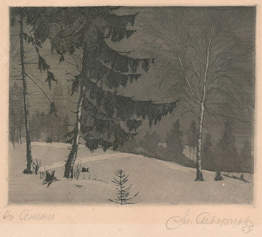Na Senezhe 1955g